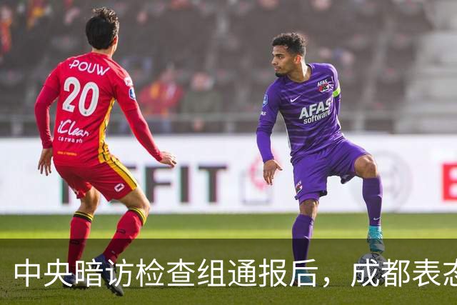 中央暗访检查组通报后，成都表态：已立案调查，拟顶格处罚