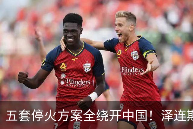 五套停火方案全绕开中国！泽连斯基宁提印度埃及，也不提12点