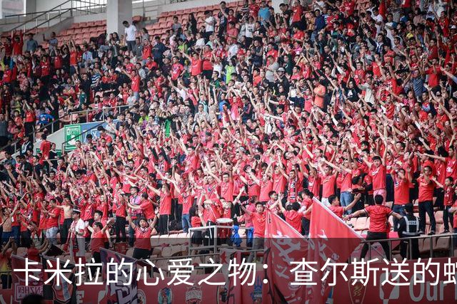 卡米拉的心爱之物：查尔斯送的蛇形项链，戴了20多年和她绝配