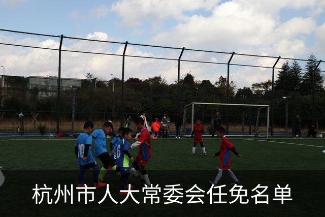 杭州市人大常委会任免名单