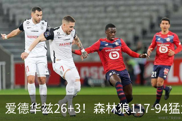 爱德华兹26+3！森林狼117-94猛龙，看数据：他是头号功臣！