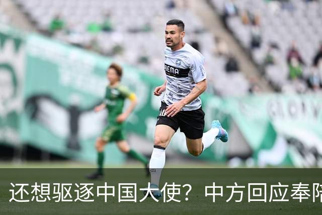 还想驱逐中国大使？中方回应奉陪到底，大使点破真相，菲再次破防